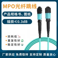 厂家直供电信级3米MPO万兆多模光纤8芯/12芯/24芯主干MPO光 纤跳线