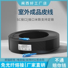皮线跳线室外成品皮线光纤入户定长成品光缆监控布线专用免熔接