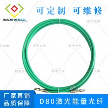 D80能量光纤 激光传输光纤 大芯径光纤 可维修 SI600-5